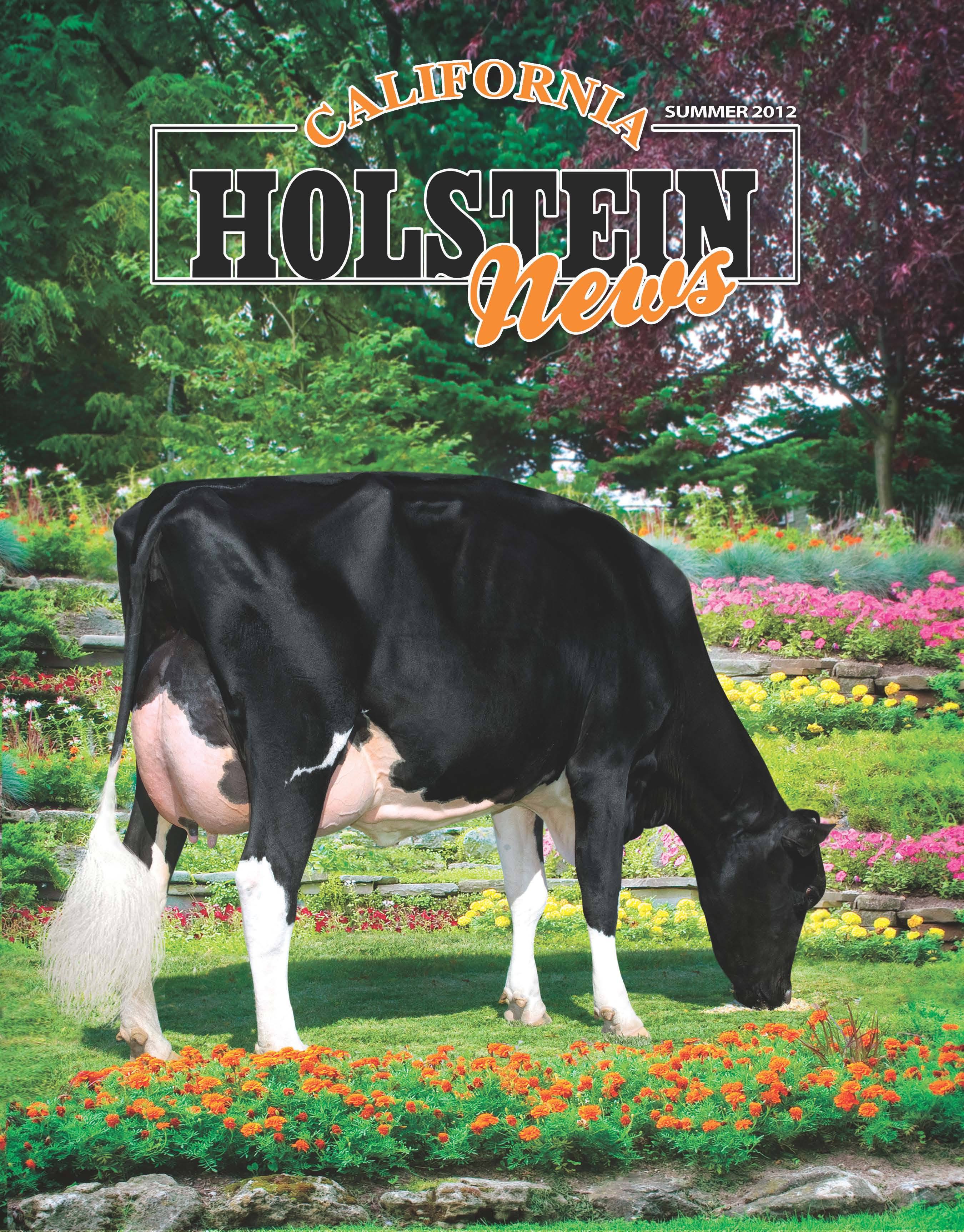 2012 California Holstein News